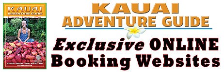 KAG-WebsiteHeader-s2026